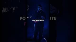 À l’ammoniaque  Pnl rap spotify music spotifymusic pnl triste mavie [upl. by Onivag]