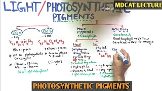 Photosynthetic pigments and their role  NMDCAT 2021 [upl. by Morna]