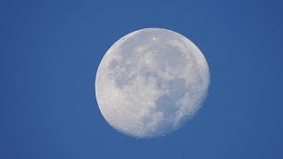 Day Moon Zoom Nikon P1000 [upl. by Dwyer]