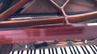 Grand Piano to Digital Piano Conversion  Perth Piano Tuning  PianoTech [upl. by Tore]