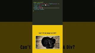 Learn To Fit An Image Inside A Div  css ui coding [upl. by Atiral]