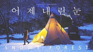 폭설이 내린 다음날 시간이 멈춘 숲의 아름다움  쌓인 눈이 바람에 흩날리는 소리만 들리던 겨울숲속 캠핑  화목난로와 군고구마  설중캠핑 [upl. by Taam]