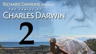 Richard Dawkins  The Genius of Charles Darwin  Part 2 The Fifth Ape Subs [upl. by Lucier694]