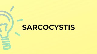 What is the meaning of the word SARCOCYSTIS [upl. by Fridell]