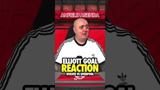 ELLIOTT GOAL REACTION  Wolves vs Liverpool [upl. by Ahsekal816]