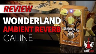 Wonderland Reverb Shimmer Caline Review  Dicas [upl. by Salkcin]