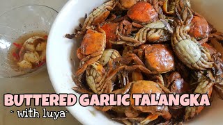 BUTTERED GARLIC SHORE CRABS WITH GINGER  TALANGKA RECIPE [upl. by Yesnikcm]