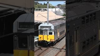 S Set at Petersham australiantrains sydneytrains railfanning [upl. by Breen]