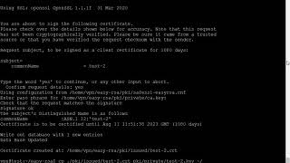 How to install openvpn on Ubuntu2004 [upl. by Suoicserp]