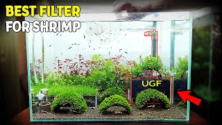 NEW Shrimp Tank Setup for Caridina with UGF Box [upl. by Candless908]