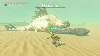 The Legend of Zelda Breath of the Wild Boss 12  Molduking [upl. by Latsryc]