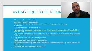 Lab diagnostics 1115 Blood glucose insulinendocrine pancreas تحليل سكرانسولين الدم حيوانات أليفة [upl. by Yuma]