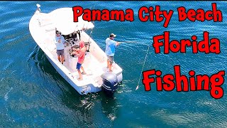 Offshore Fishing Panama City Beach Florida fishing fishingvideo [upl. by Fine]