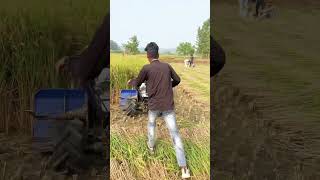 Dhaan Cutting Machine 2025 riteshvlogs farming dhan agriculture shorts shortvideo shortvideo [upl. by Anirbed265]