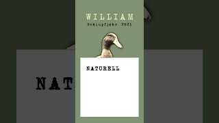 Steckbrief William duck birds animals nature ente tiere vogel [upl. by Waldemar]