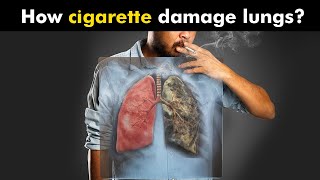 How Cigarettes Smoking Damages Lungs UrduHindi [upl. by Tillinger]