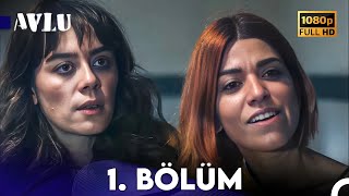 Avlu 1 Bölüm FULL HD [upl. by Ranie]