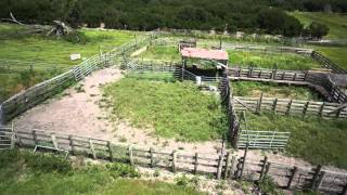 SOLD County Line Ranch  3500  Acres Located in the Heart of Florida SOLD [upl. by Adnovahs]