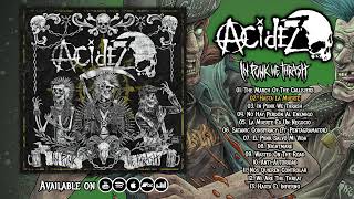 Acidez  In Punk We Thrash Full Album 2022 [upl. by Levesque]