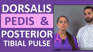 Dorsalis Pedis and Posterior Tibial Pulse Point Nursing Assessment [upl. by Halilad]