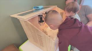 Everygrow Intelligent Brooder Box for Chicks [upl. by Dietz]