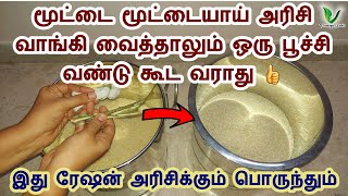 ஒரு வருடம் ஆனாலும் அரிசியில் பூச்சி வண்டு புழு வராமல் இருக்க இதை செய்யுங்கள் How to store rice [upl. by Mahau]