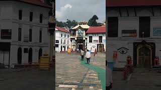 Pashupatinath temple Nepal pashupatinathtemple pashupatinath incredible love [upl. by Oiramad924]