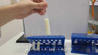 Negative Ion Test GCSE Chemistry [upl. by Ramon626]