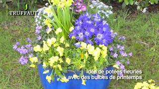 Planter des bulbes dété à fleurs en pot  Truffaut [upl. by Petronella]