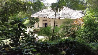 Day 107  රොලැන්ඩෝ අය්යත් එක්ක Adventures  VLOGMAFIA  Trip to Nonpareil Estate amp Pahanthudawa [upl. by Aramot]