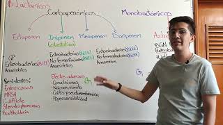 Antibióticos 4 Carbapenémicos y Monobactámicos [upl. by Usanis501]