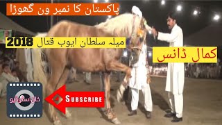 top dancing horseghora sholaSultan ayub qatal2024 Vedios the tapdancing horsehorsePunjab Rang [upl. by Ejrog204]