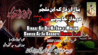 Binaal Aii Dil  Nasirabad Hazara  New ShabEQadar Noha 20231444 [upl. by Atekihc]