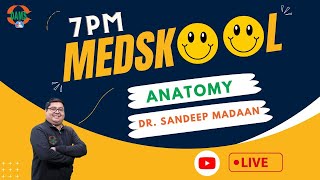 7PM Medskool by DAMS  Anatomy with Dr Sandeep Madaan [upl. by Elin]