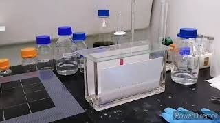 Thin Layer Chromatography step by step procedure [upl. by Hcone]