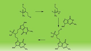 Cyclophosphamide antineoplastic pharmacological mechanismc [upl. by Aisyat]