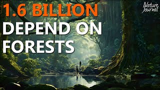 ALL Types of FORESTS and why they are so important 🌲 [upl. by Conni]