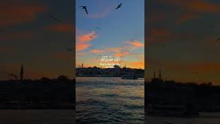 أرح سمعك و قلبك بالقرآن 🎧💙 القارئ رعد الكردى [upl. by Nylecaj]