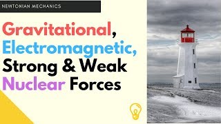 Types of Forces Hindi [upl. by Michigan]