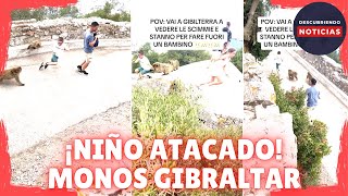 NIÑO PERSEGUIDO POR UN GRUPO DE MONOS ENFADADOS EN EL PEÑON DE GIBRALTAR [upl. by Santiago572]