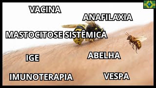 PICADA DE INSETO  VACINA VESPA IMUNOTERAPIA  IGE  ABELHA  MASTOCITOSE SISTÊMICA  ANAFILAXIA [upl. by Helsie]