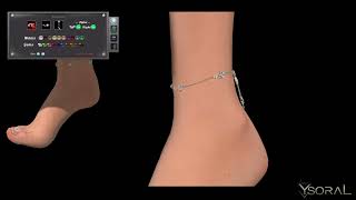 Ysoral  Anklets Ariel  MOVIE 4K Second Life [upl. by Polito]