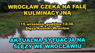 Wrocław stan rzek  aktualna sytuacja na Ślęzy godzina 1230 15 września Wrocław Kuźniki [upl. by Medina]