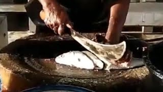 How to FILLET milkfish  MARKET indonesia fish [upl. by Tammany]