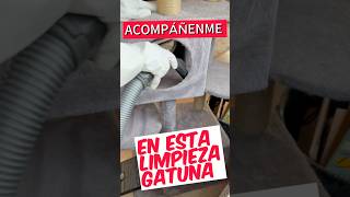 LIMPIEZA GATUNA 😂 limpieza cocina tips trending [upl. by Rutan]