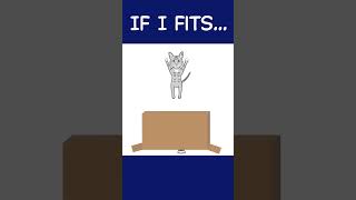 Every Cat and Boxes animation catcartoon [upl. by Hoes]