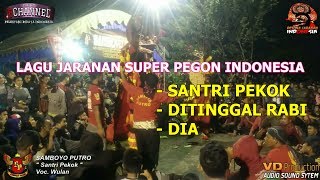 Samboyo Putro Lagu Jaranan Santri Pekok Ditinggal Rabi Dia Live Bleton 2017 [upl. by Ahsias]