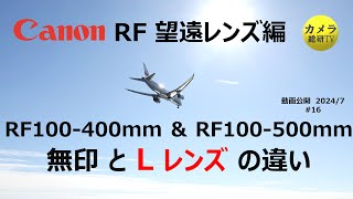 Canon RF 望遠レンズ比較（RF100400mm、RF100500mm）16 [upl. by Kurtzman]