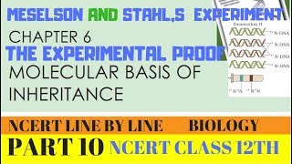 Semi conservative replication  Biomolecules  MCAT  Khan Academy [upl. by Ball]