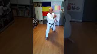 Combinatie soto uke yoko empiuraken uchi kiba dachigyaku zuki 1 jkakarate karate sports [upl. by Tneciv]